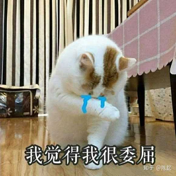 有哪些你舍不得删的沙雕表情包?