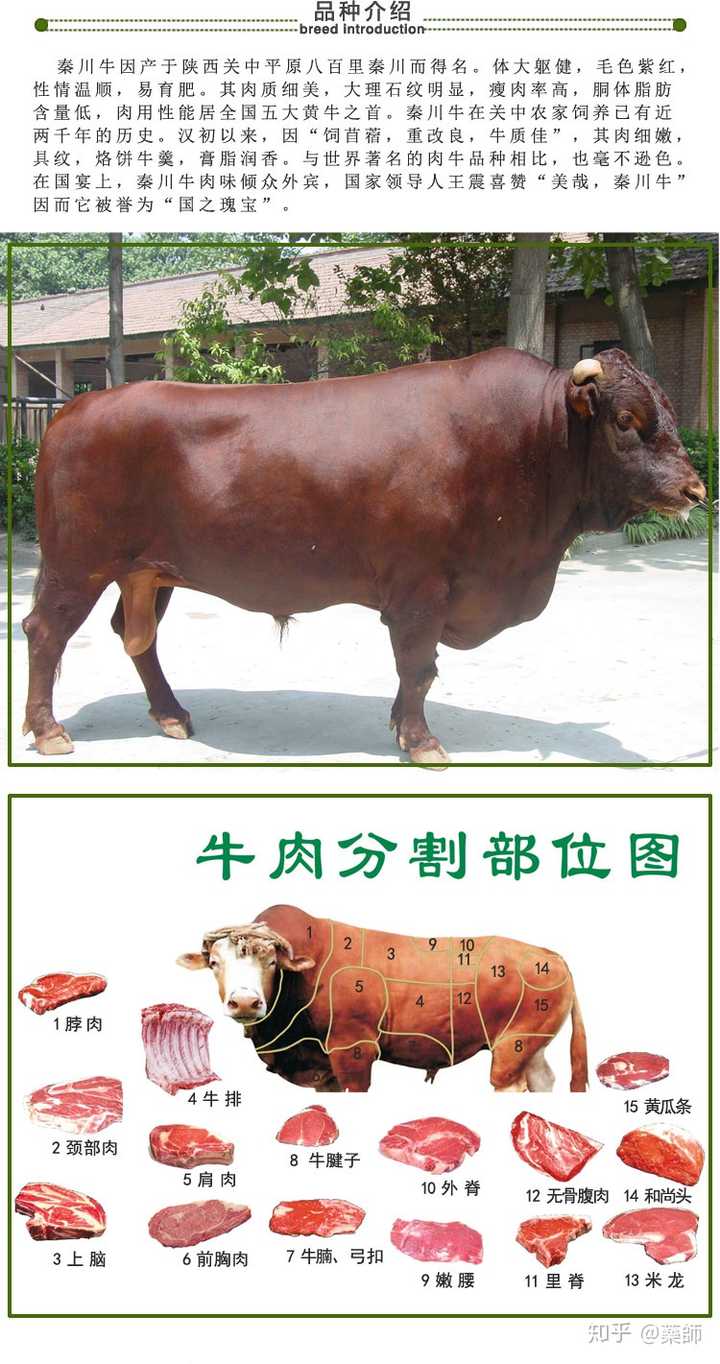 为什么市面上大多牛排馆突出宣传自己的牛肉是澳洲牛肉?