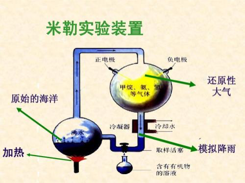 米勒实验装置图示(图片来自网络)