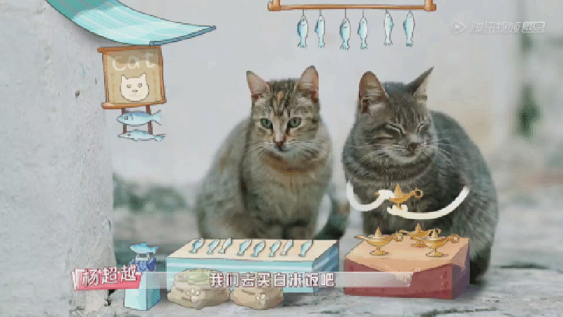 ⒉一看总导演竟然是《爸爸去哪儿》第一二季的导演谢涤葵,那肯定不差