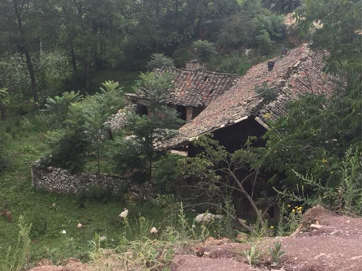 在贵州山区,大多以洋芋(土豆)和苞米(玉米)为生,也几乎只有这两样