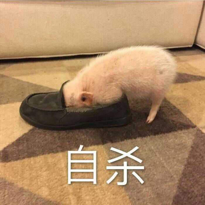 ʲô취