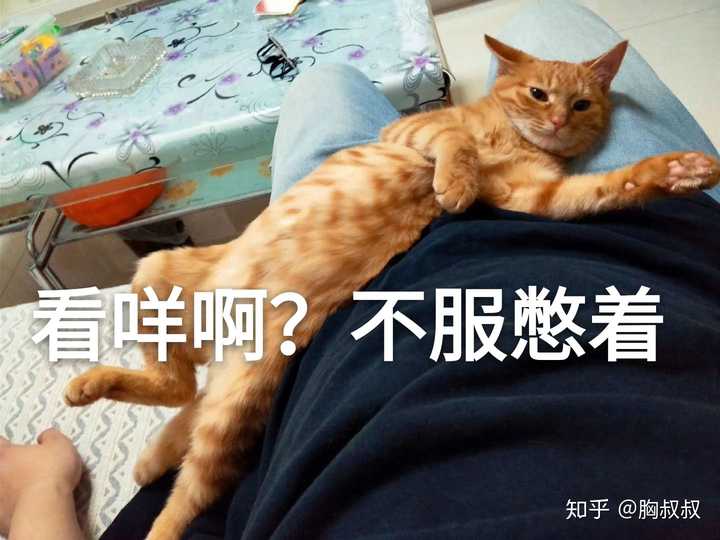 还敢这么拽?知道什么叫做被命运扼住喉咙吗?