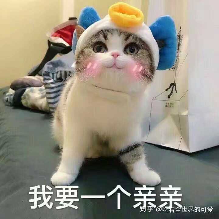 有哪些适合情侣间聊天使用的表情包?