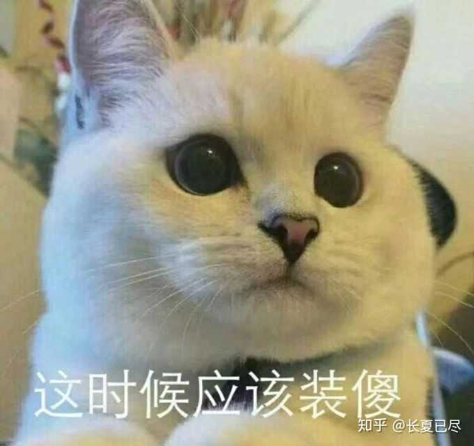 我的头像,嘻嘻