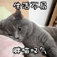 撩我家狗子的不知不觉间存了好多图,(小套路中参杂些许去幼儿园的车