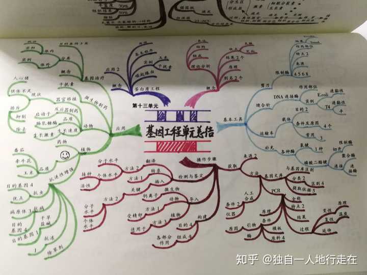 高中生如何利用思维导图学习