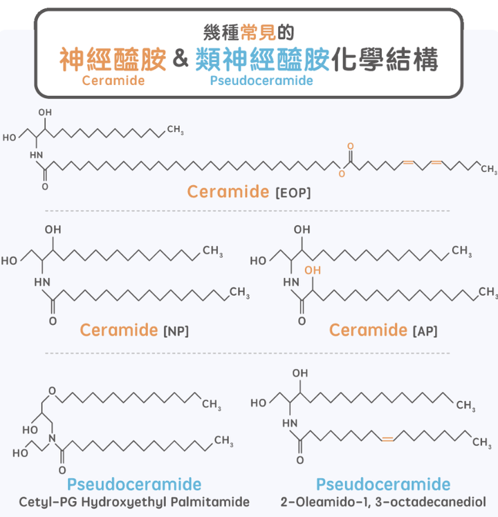 「神经酰胺」是什么?