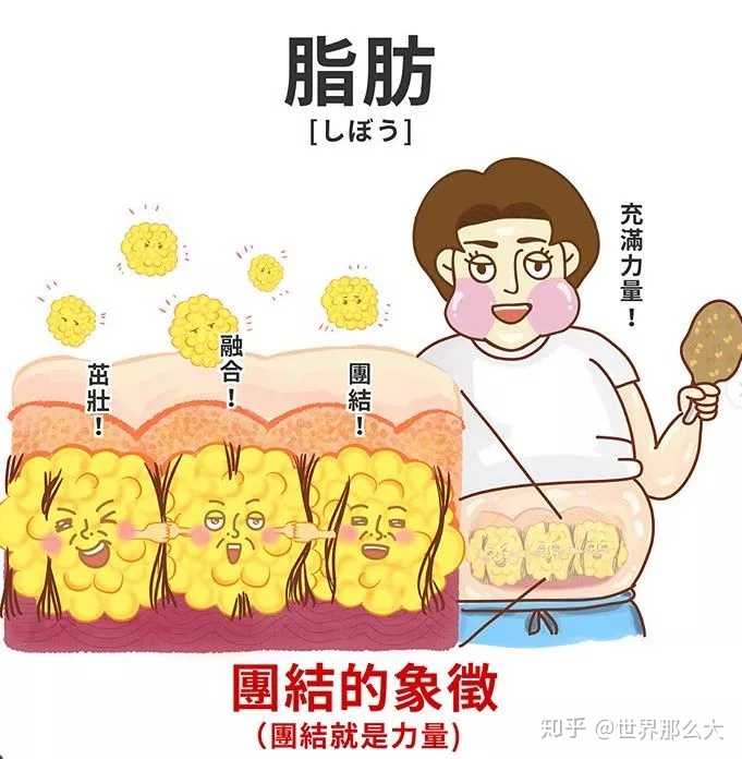 所以,抽脂的优越性就在于可以 直接减少脂肪细胞的数量,大大减少了