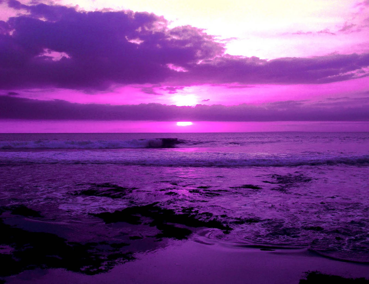 网络上的紫色海洋图片 作示意图用 非还原