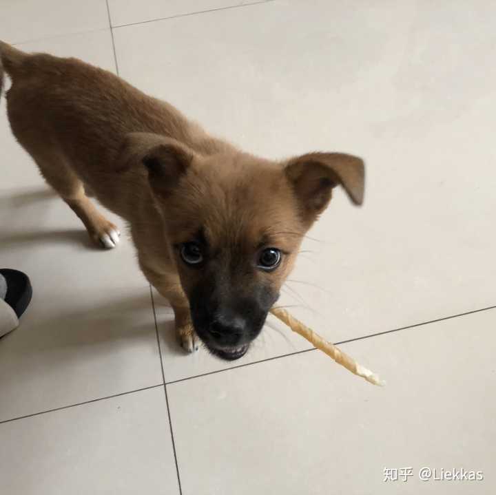 最后放一张奇丑的吃照.希望以后能再回来一点颜值吧.