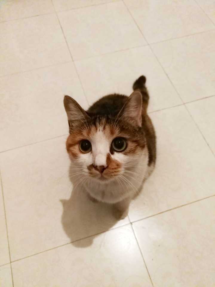 斜眼看人,凶
