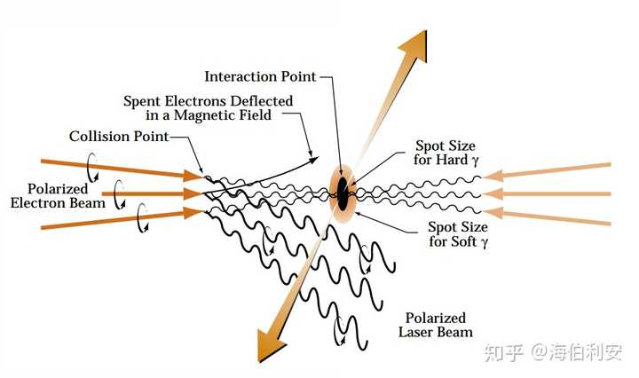 如上图所示,两束高能电子束相对运动(图中带箭头的红线),分别朝着两