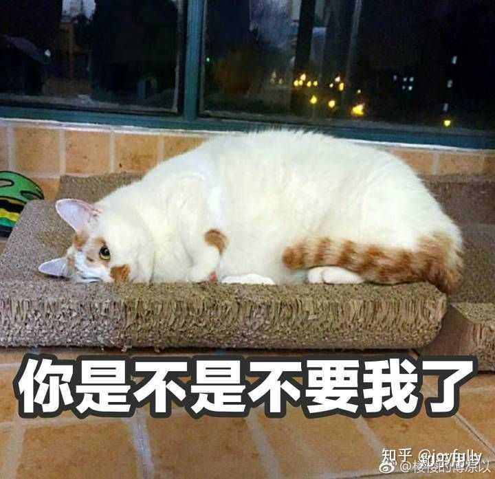 你有哪些跟「认错」相关的表情包?