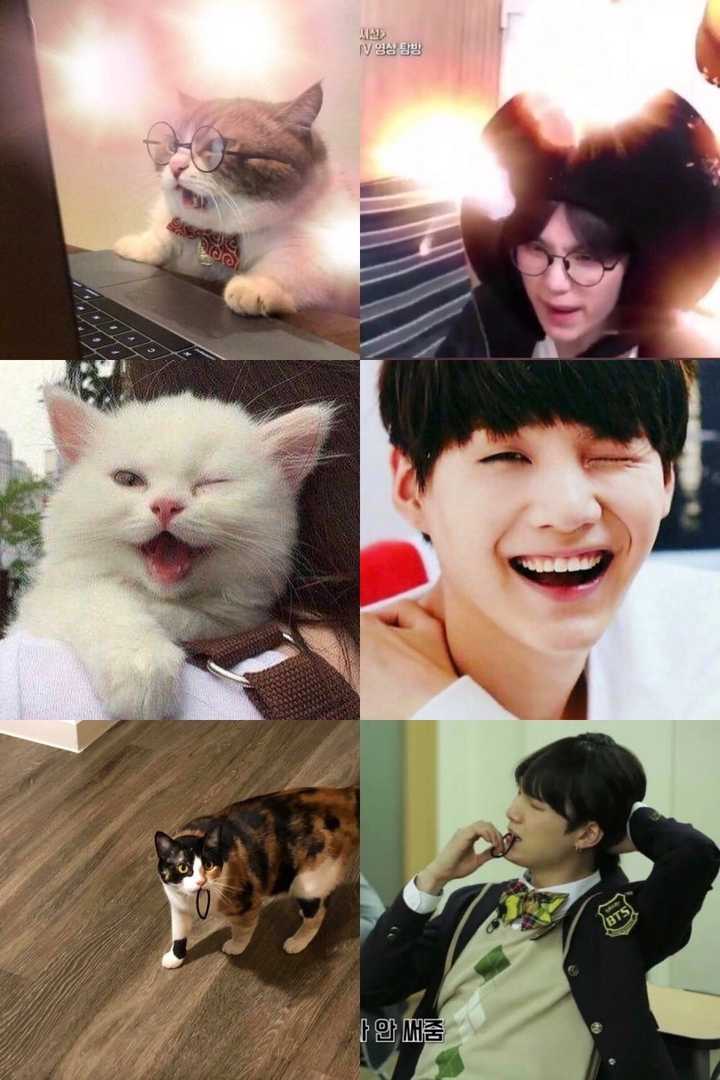 闵玧其和朴智旻谁长相更猫系?