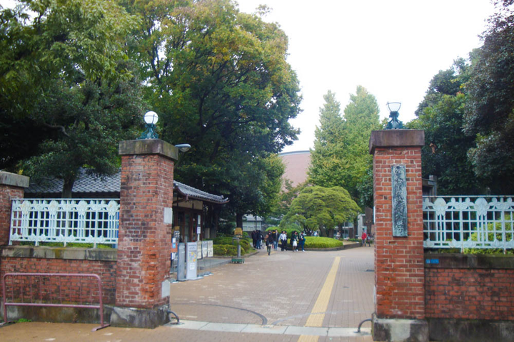 京都市立艺术大学