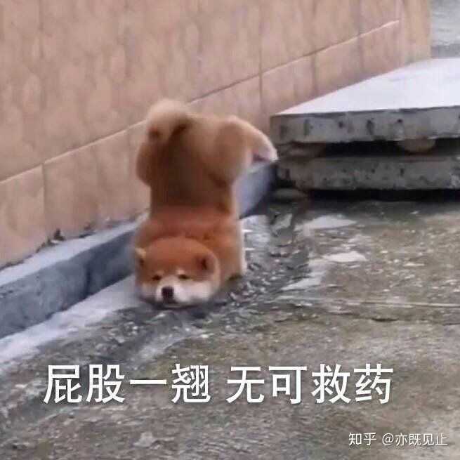 有没有什么生无可恋的表情包?