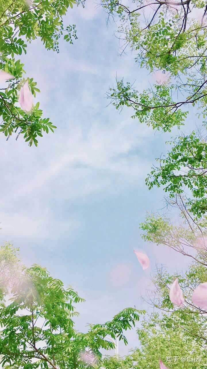 有没有这种看起来就很凉快的壁纸啊?