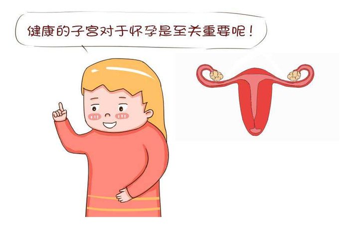 什么是弓形子宫?