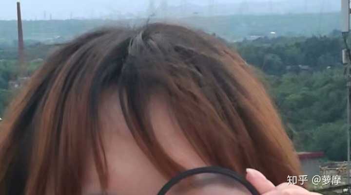 头顶带一点黑,下面全是黄的,回答里有个人用焦糖布丁来形容哈哈哈