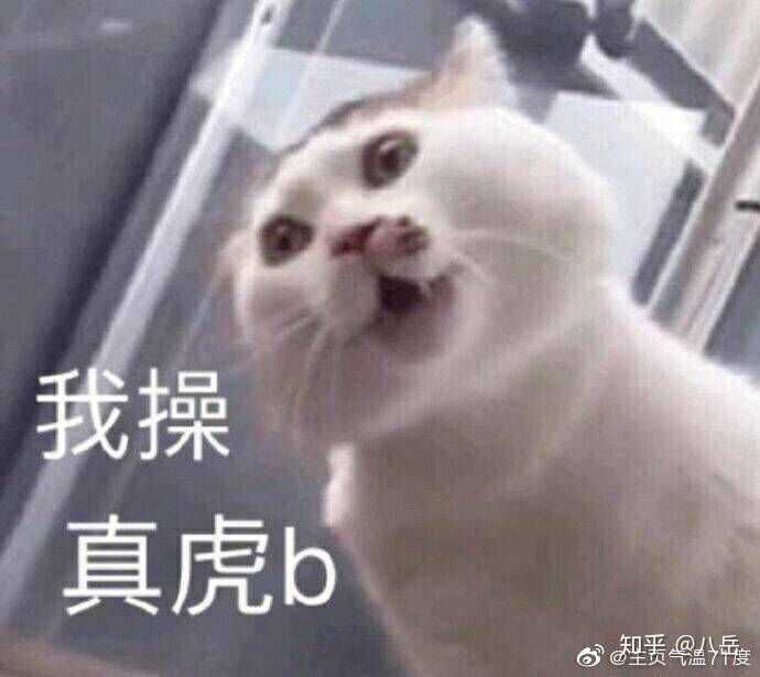 总结此人没智商没情商呆逼抠逼自恋狂 纯粹的完蛋玩意