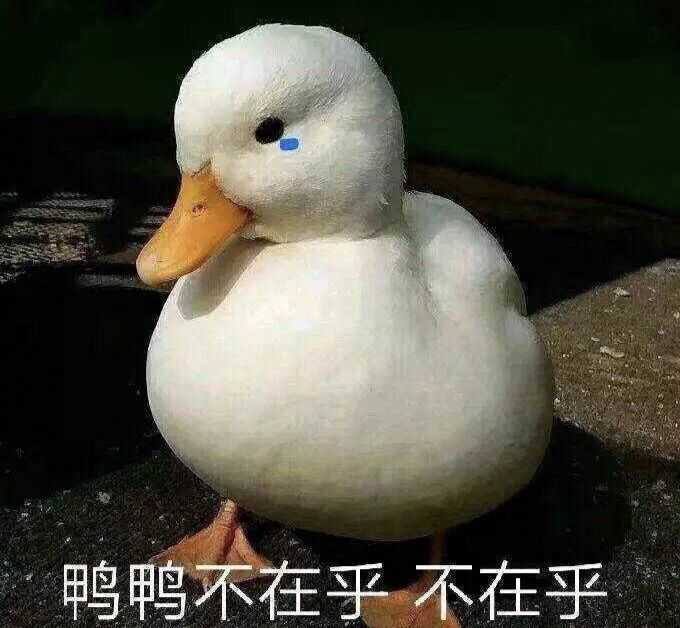 有哪些沙雕表情包?