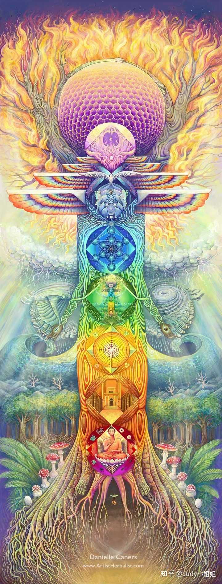 宇宙是一层层的显化,从高维到低维,我们是宇宙的触手,在物质世界里