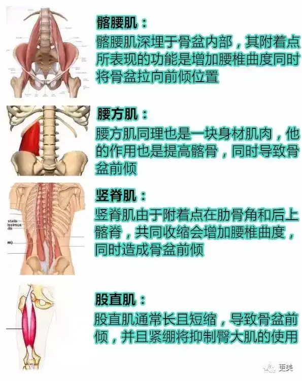 医院就医或是找专门帮做恢复体态的健身工作室进行下交叉综合症的矫正