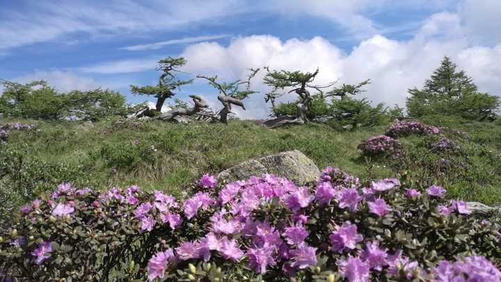 盆景园.鳌太穿越第一天通常在此扎营.