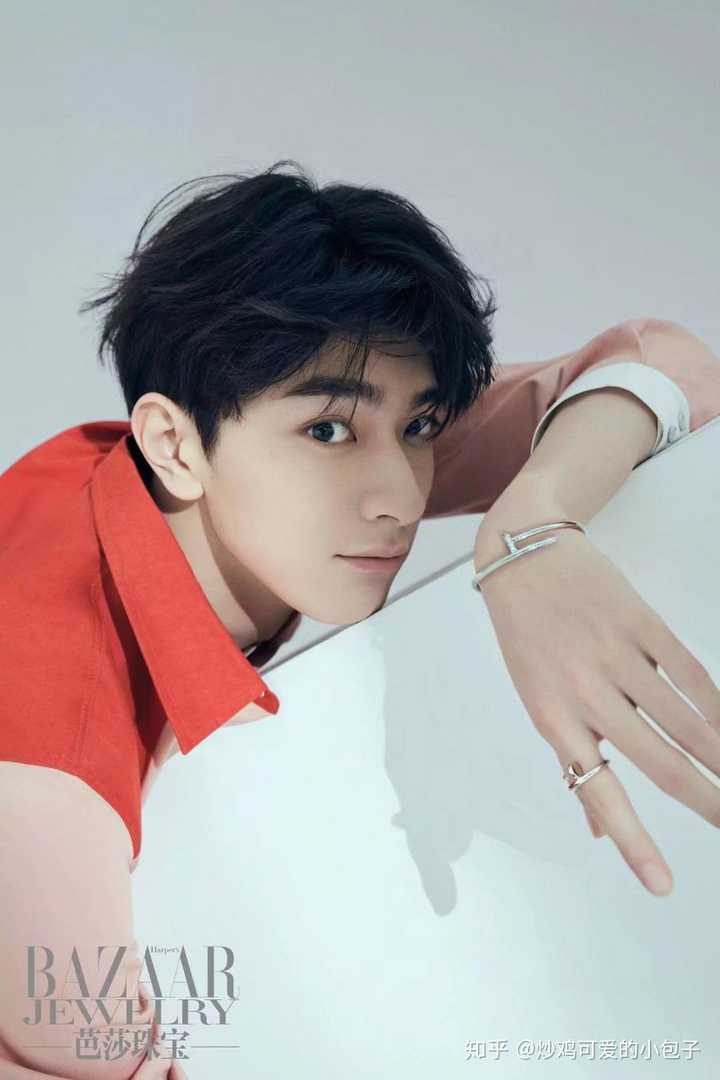 中国男明星里谁的手特别好看?