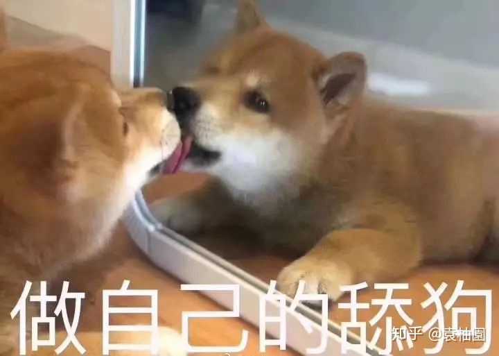 d)∠)_ 好的嘞嘻嘻,接下来请大家扶稳自己的头,预防万一笑到满地找头
