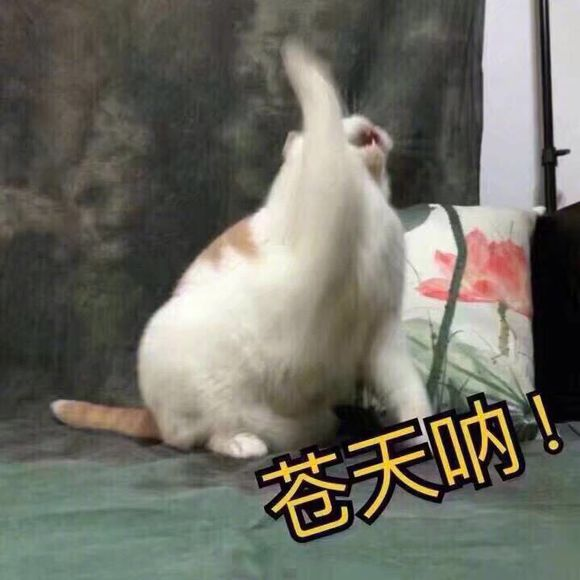 丢人丢到家是种怎样的体验?