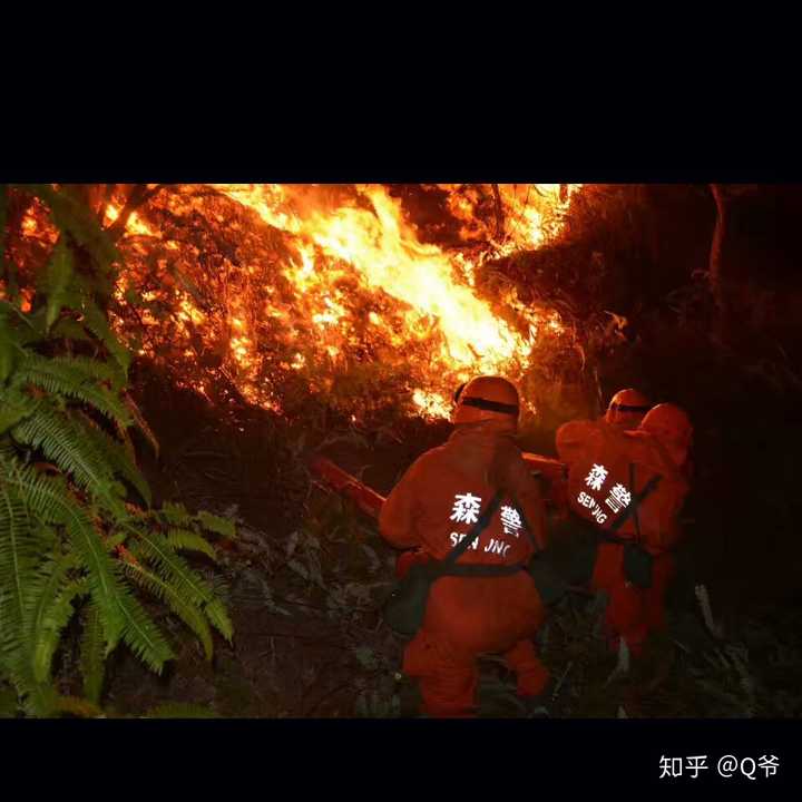 2019年3月30日四川凉山森林大火致 31 人遇难,可能的原因是什么?