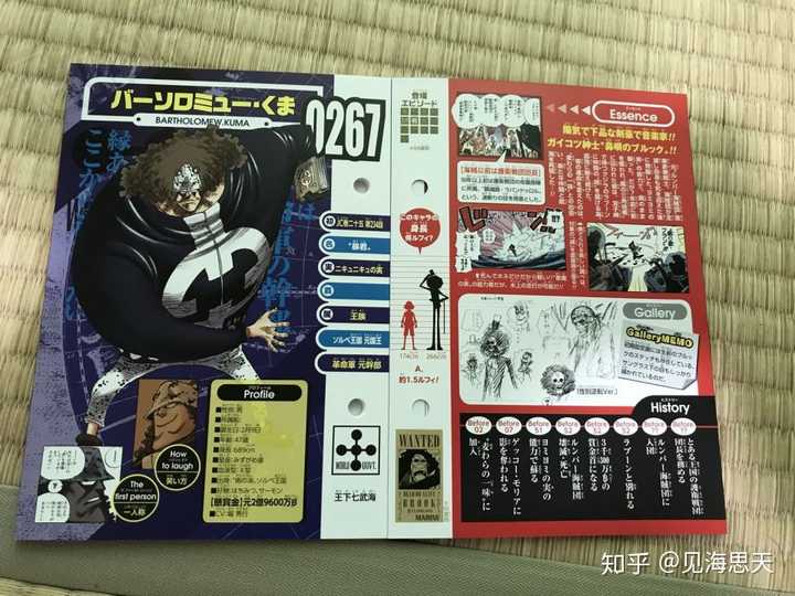 车轮果实.效果:使四肢变为高速旋转的车轮 20.黄泉果实.