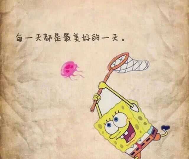 每一天都是最美好的一天.