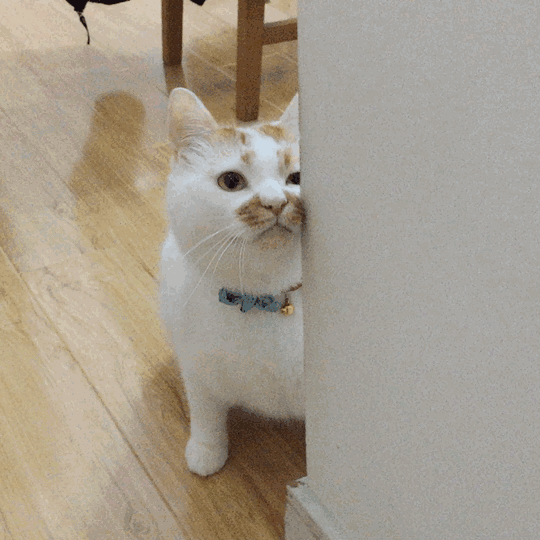 我已经是个大人惹,要成为一个独立自律乐观开朗有担当有责任心的女孩