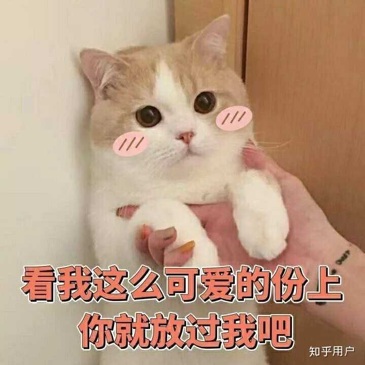 有哪些可以哄男朋友开心的表情包?