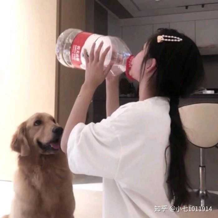 有没有女孩子抱着狗狗的头像,越多越好?
