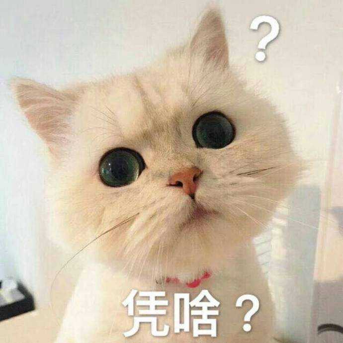 你遇到过最不讲道理的人是怎样的?