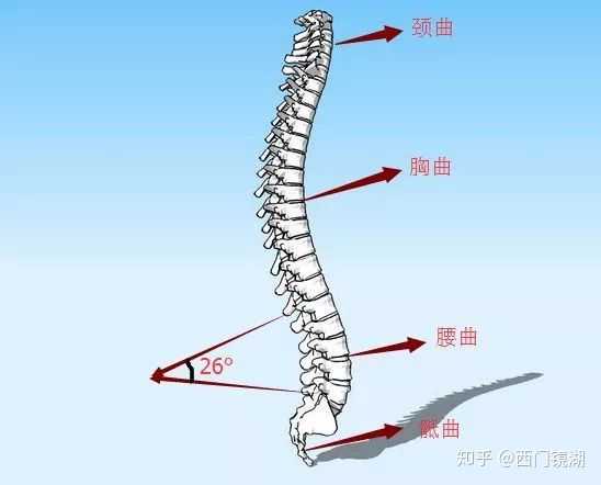 腰椎不好,适合睡软的还是硬的床垫呢?