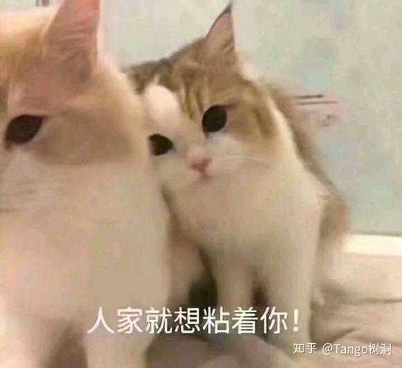 有哪些哄男朋友的可爱表情包?