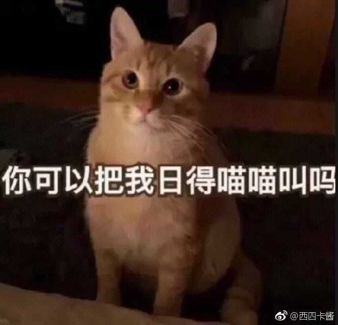 有那些撩男朋友的斗图?