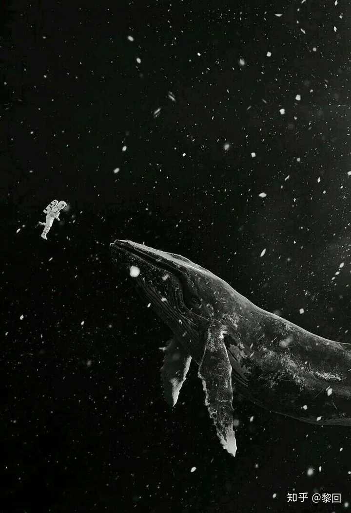 求有日月山河星辰大海的神仙句子?