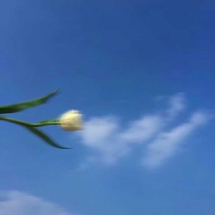 有蓝色头像可以分享一波吗?