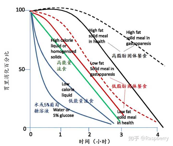 各种食物的胃排空时间.