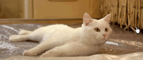 微信编辑哪里找高逼格 gif 动图?