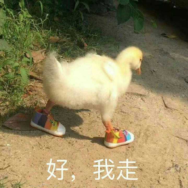 有什么表情包能表达被喂狗粮时的心情?