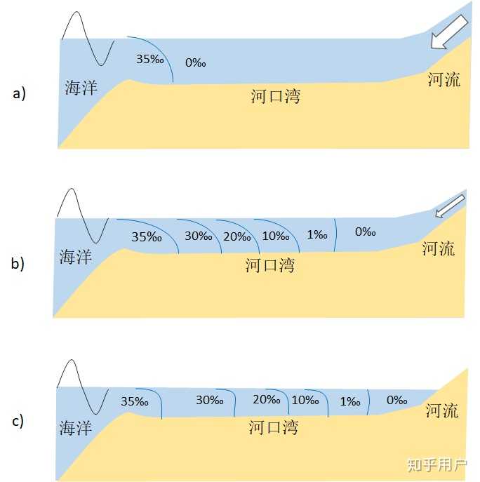 海水里面的盐分为什么没有随着河流渗透到内陆?