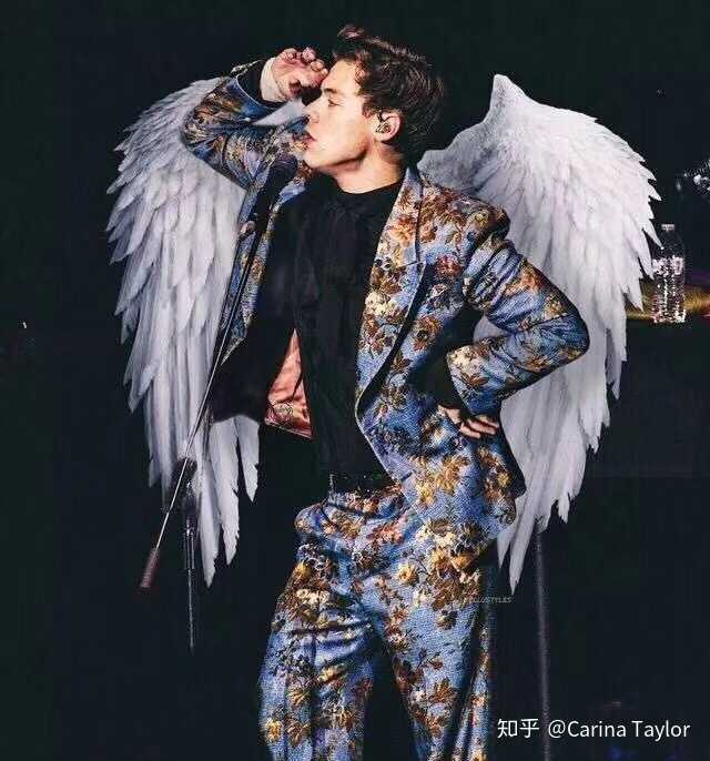 是卷妹!harrystyles