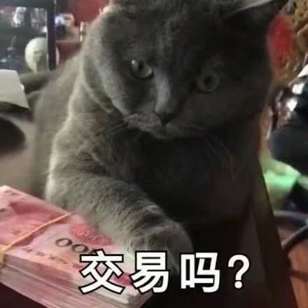 有那些沙雕微信头像?